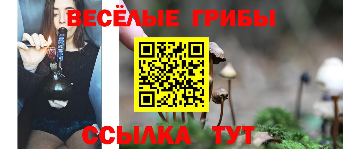 цена   Вход с VPN  Псилоцибиновые грибы Cubensis  Белорецк  Галлюциногенные грибы мицелий 